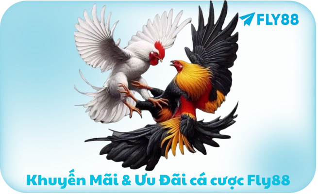 Khuyen Mai Da Ga FLY88 Khuyến Mãi Đá Gà FLY88