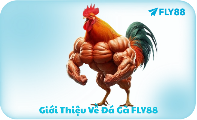 Tong Quan Ca Cuoc FLY88 1 Tổng Quan Cá Cược FLY88