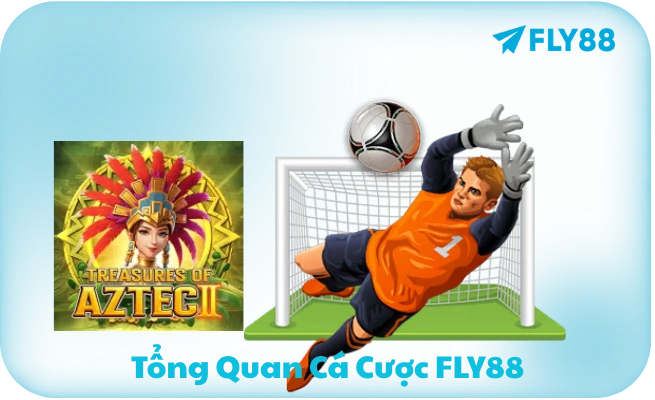 Tong Quan Ca Cuoc FLY88 Tổng Quan Cá Cược FLY88