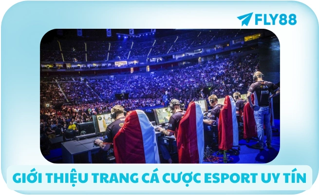 Giới thiệu trang cá cược esport uy tín
